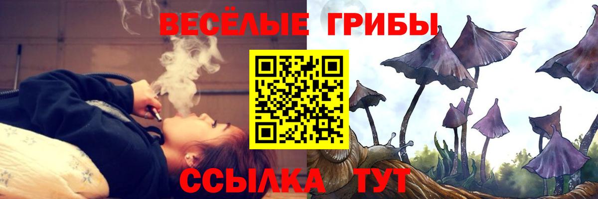 Галлюциногенные грибы Psilocybe  купить наркотики цена  Вход с VPN  Избербаш  Галлюциногенные грибы Psilocybe 